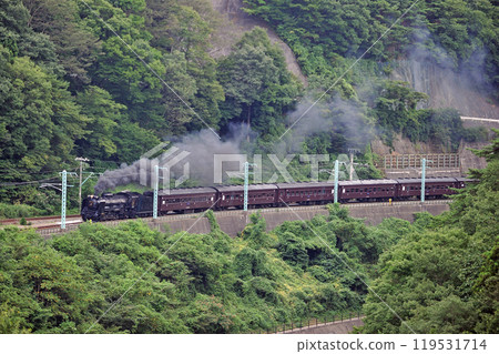 Joetsu Line Kamimaki-Minakami JR East D51-498 + old passenger car (Takasaki) SL Minakami Joetsu Line Kamimaki-Minakami JR East D51-498 + old passenger car (Takasaki) SL Minakami 119531714