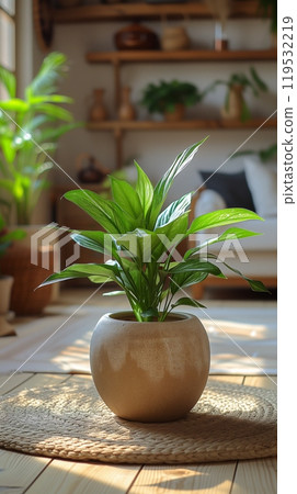 Peace lily plant in a sandy pot enriching the natural ambiance of a sunny living room 119532219
