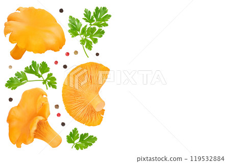Chanterelle mushroom isolated on a white background. Top view with copy space for your text. Flat lay 119532884