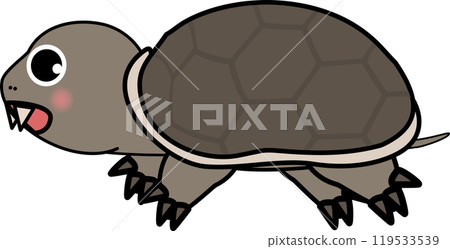 Snapping turtle - cute turtle illustration 119533539