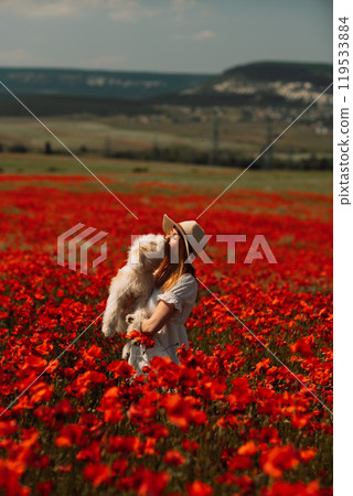 Field of poppies woman dog. Happy woman in a white dress and hat stand with her back through a blooming field of poppy with a white dog. Field of blooming poppies. 119533884