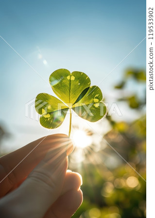 clover, leaves, hand 119533902