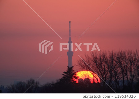 Sunrise-Skytree 119534320