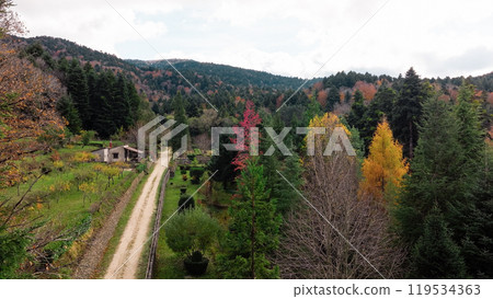 The Path That Leads Home Seen From Above The Path That Leads Home Seen From Above 119534363