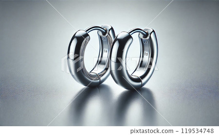 Precious metals: Platinum and silver earrings 119534748