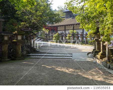 Stone lanterns line the approach to Kasuga Taisha Shrine 119535053