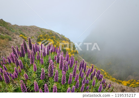 View near Pico do Arieiro, Portugal in clouds View near Pico do Arieiro, Portugal in clouds 119535217