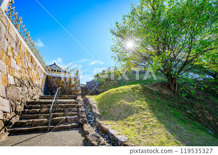 Tomioka Castle ruins in autumn, Amakusa District, Kumamoto Prefecture 119535327