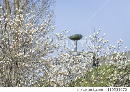 White Magnolia, Olympic Cauldron, Makomanai Park, Sapporo 119535670
