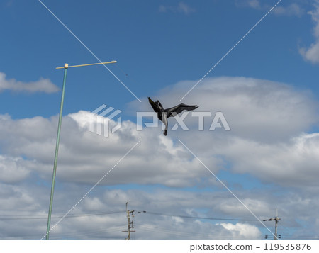 稻田安裝防鳥網 119535876