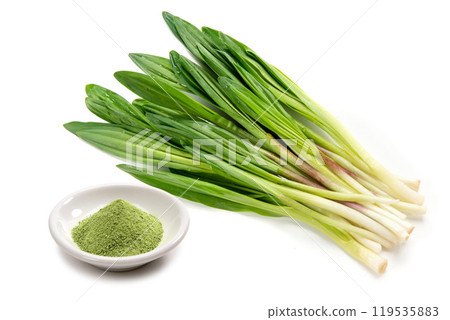 Wild garlic and powdered health food 119535883