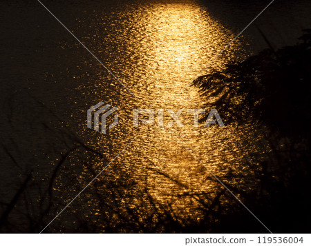 The river surface reflecting the setting sun 119536004