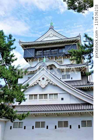 Ogura castle Tensui 119536218