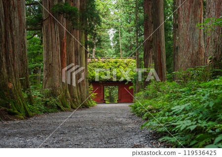 Zuishinmon Gate and the cedar trees along the - Stock Photo