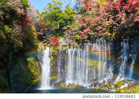 Shiraito Falls (Autumn) [Fujinomiya City] 119536681