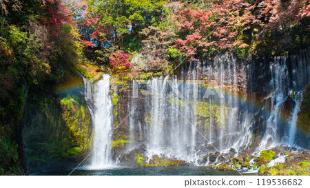 白絲瀑布（秋季）[富士宮市] 119536682