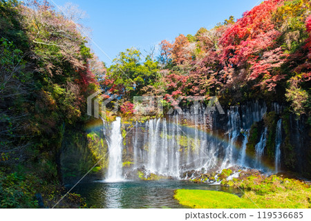 Shiraito Falls (Autumn) [Fujinomiya City] 119536685