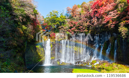 Shiraito Falls (Autumn) [Fujinomiya City] 119536686