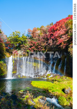 Shiraito Falls (Autumn) [Fujinomiya City] 119536688