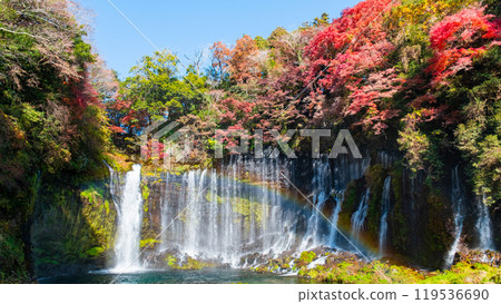 白絲瀑布（秋季）[富士宮市] 119536690