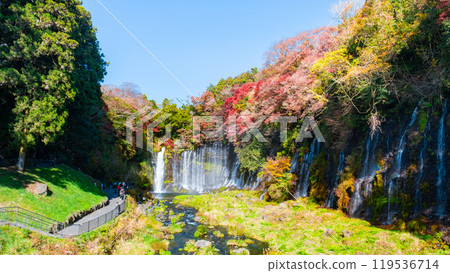Shiraito Falls (Autumn) [Fujinomiya City] 119536714