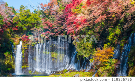 Shiraito Falls (Autumn) [Fujinomiya City] 119536756