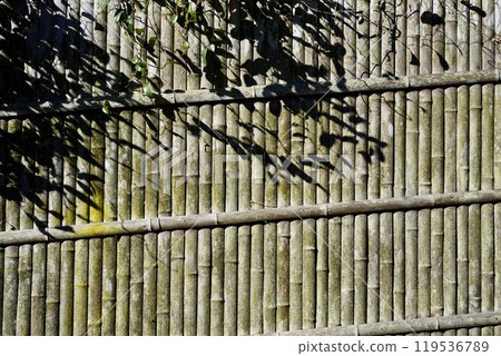 Shadows on a bamboo fence 119536789