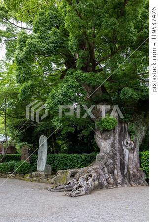Kokawadera 119537476