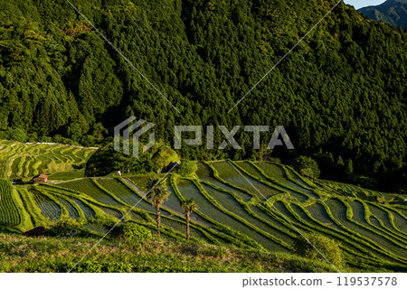 丸山千枚田的日落 119537578