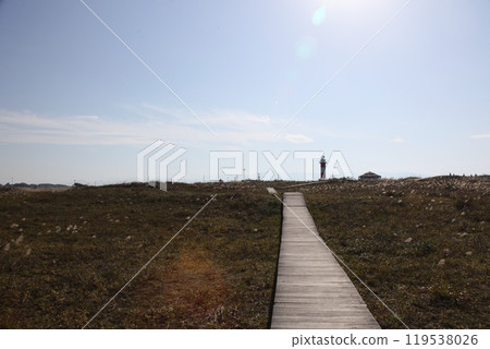 Lighthouse and flower garden scenery_Ishikarihama 119538026