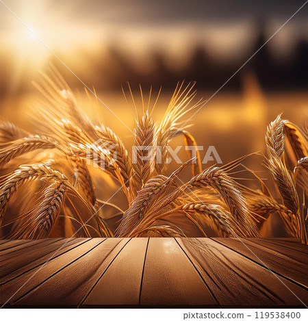 Harvest, autumn harvest, crop harvesting, grain, rice harvest, wheat harvest, corn harvest, potato harvest, agriculture, harvest season, farmer, Thanksgiving, harvest festival, harvest yield, bountifu Harvest, autumn harvest, crop harvesting, grain, rice harvest, wheat harvest, corn harvest, potato harvest, agriculture, harvest season, farmer, Thanksgiving, harvest festival, harvest yield, bountifu 119538400