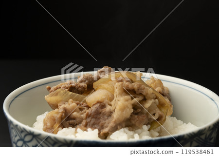 Beef bowl: Beef bowl served in a bowl Beef bowl: Beef bowl served in a bowl 119538461