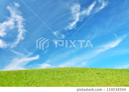 秋天的藍天和美麗的草原風光 119538504