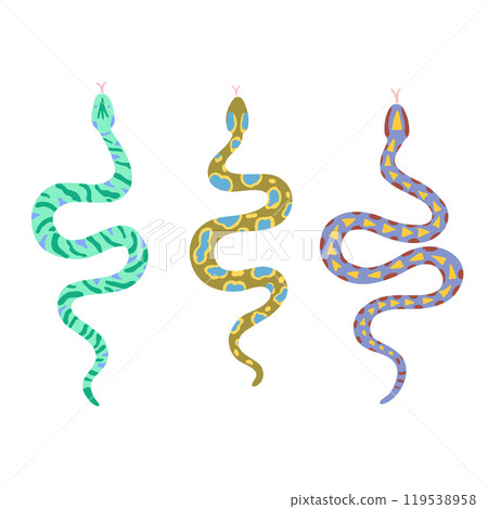 Set of snakes with various patterns. Vector design elements isolated on white background. Set of snakes with various patterns. Vector design elements isolated on white background. 119538958