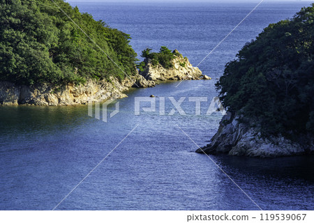 Shodoshima Jogashima Road of Hope Shodoshima Town, Kagawa Prefecture 119539067