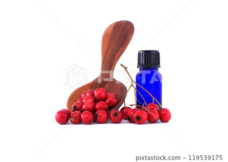 Hawthorn berries and essential oil bottle with wooden spoon isolated on white background Hawthorn berries and essential oil bottle with wooden spoon isolated on white background 119539175