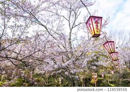宇吹公園（倉吉市）的櫻花景色 119539550
