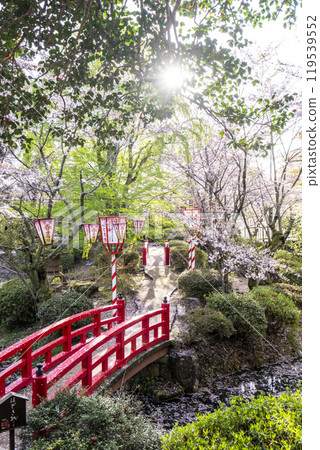 宇吹公園（倉吉市）的櫻花景色 119539552