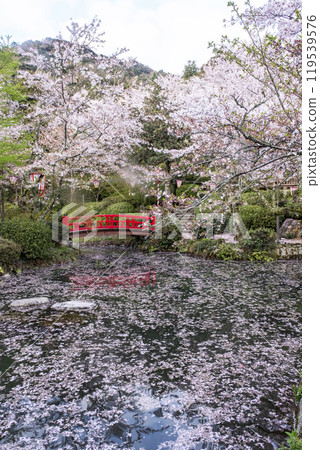 宇吹公園（倉吉市）的櫻花景色 119539576