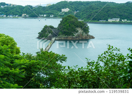 繡球花盛開的下田公園(靜岡縣) 繡球花盛開的下田公園(靜岡縣) 119539831