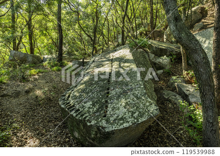 小豆島天器岩町場小天器岩香川縣小豆島町 小豆島天器岩町場小天器岩香川縣小豆島町 119539988