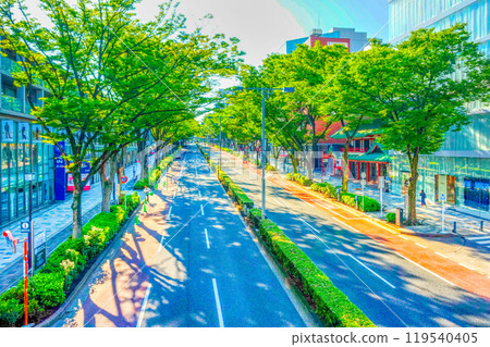 東京/原宿 表參道 119540405