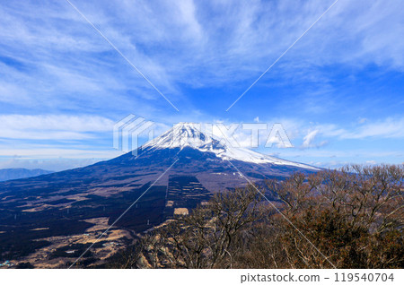 Aozora Fuji 119540704