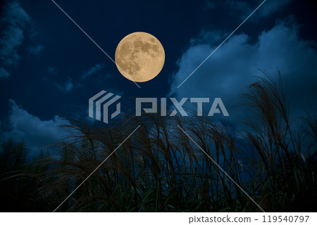 Mid-autumn moon and silver grass 119540797