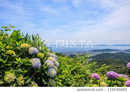 Hydrangeas blooming on Mt. Sankane, Nishio City, Aichi Prefecture Hydrangeas blooming on Mt. Sankane, Nishio City, Aichi Prefecture 119540860