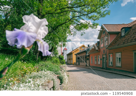 Flowers and Nordic streetscape 119540908