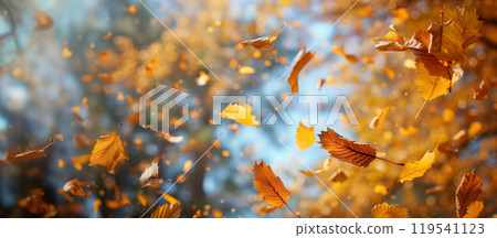 Autumn leaves falling in a vibrant seasonal display. 119541123