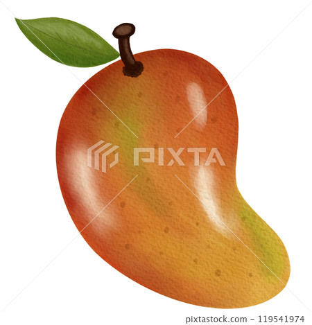 Mango Mango 119541974