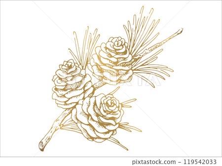 Line drawing illustration of pine cones and branches and leaves Autumn and winter plants Gold vector material 119542033