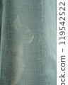 Abyssinian kitten standing behind a swaying curtain 119542522